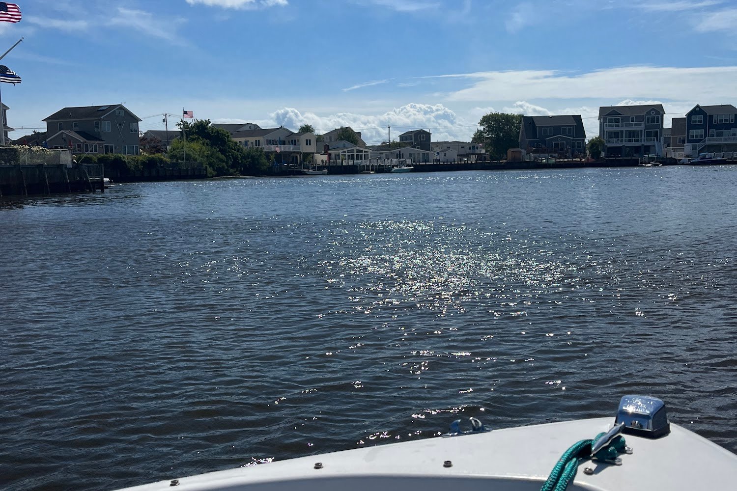 Safe Haven Cat Rescue