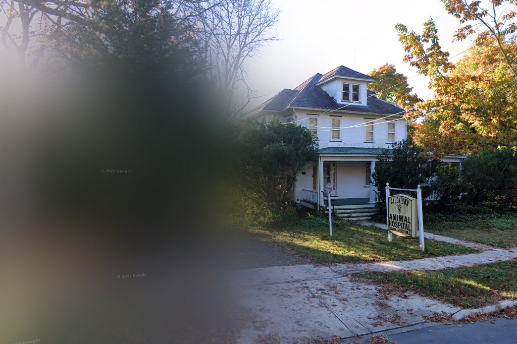 Allentown Animal Hospital