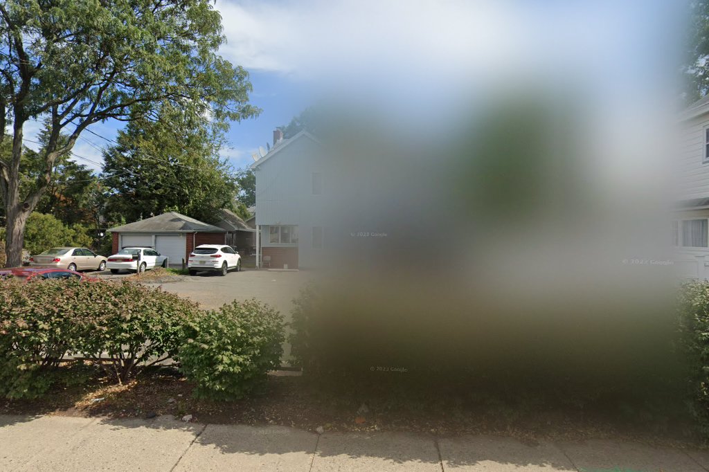 Lincoln Avenue Cat Hospital