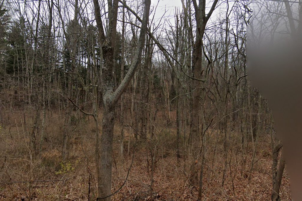 The Barnyard Sanctuary