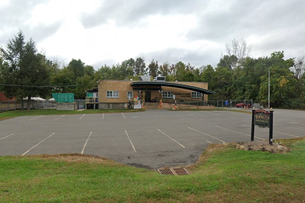 Wayne Animal Shelter