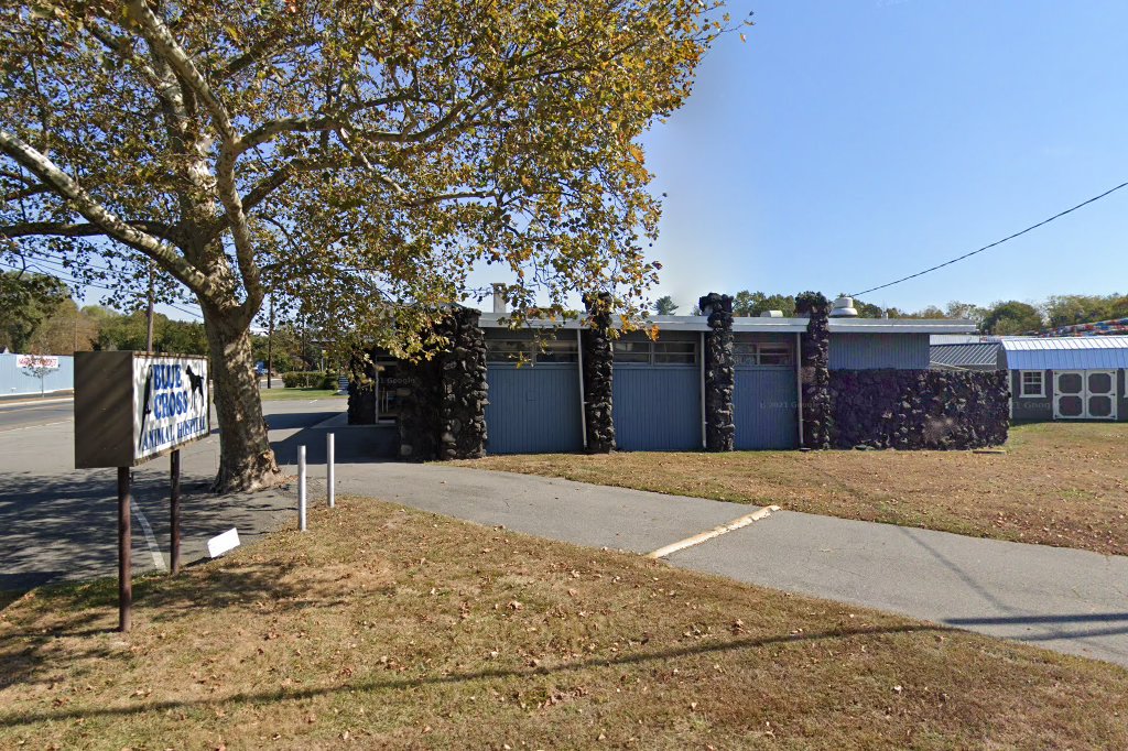 Blue Cross Animal Hospital