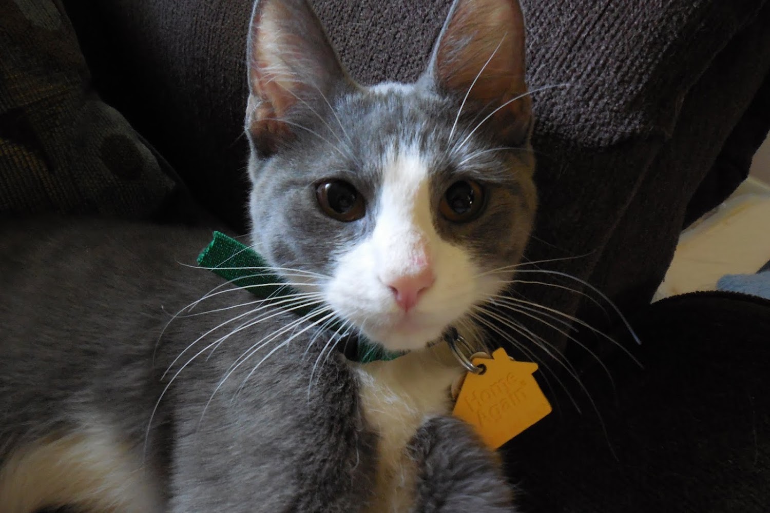 Jersey Shore Animal Center