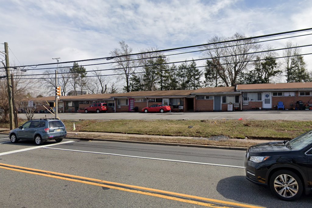 Helping Hands for Helpless Paws