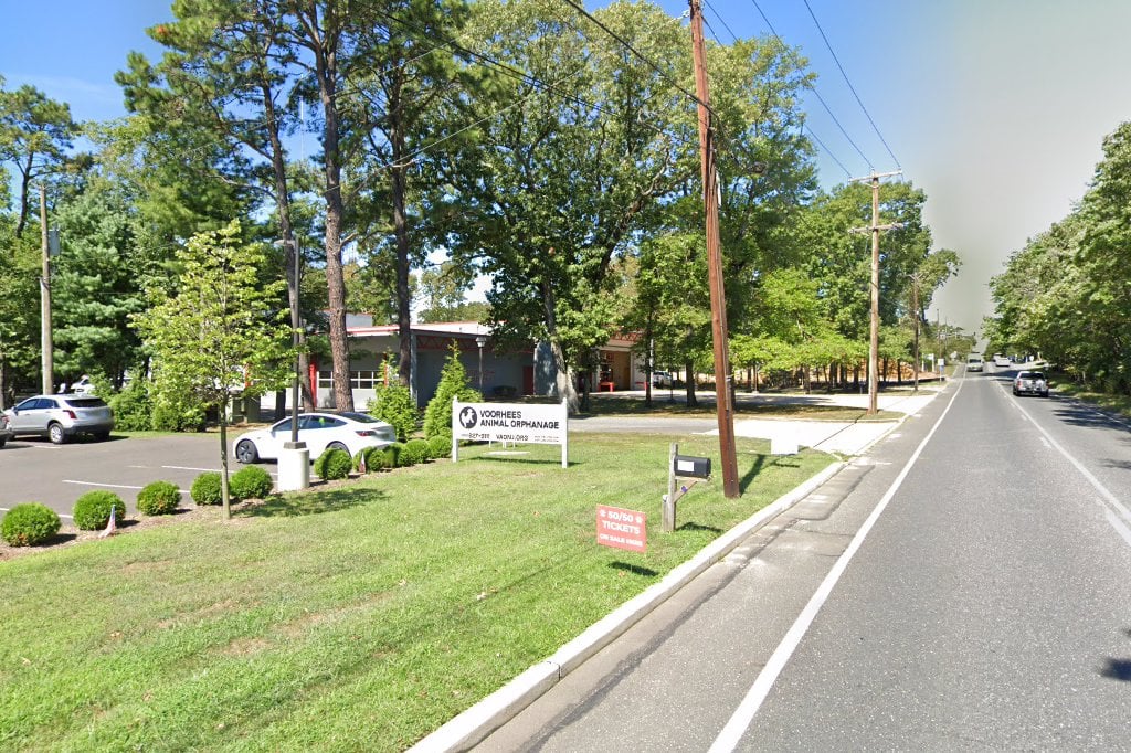 Voorhees Animal Control