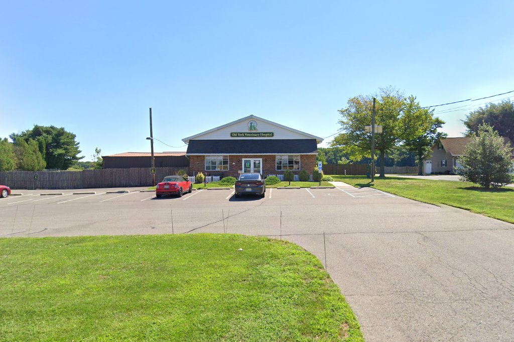 Old York Veterinary Hospital