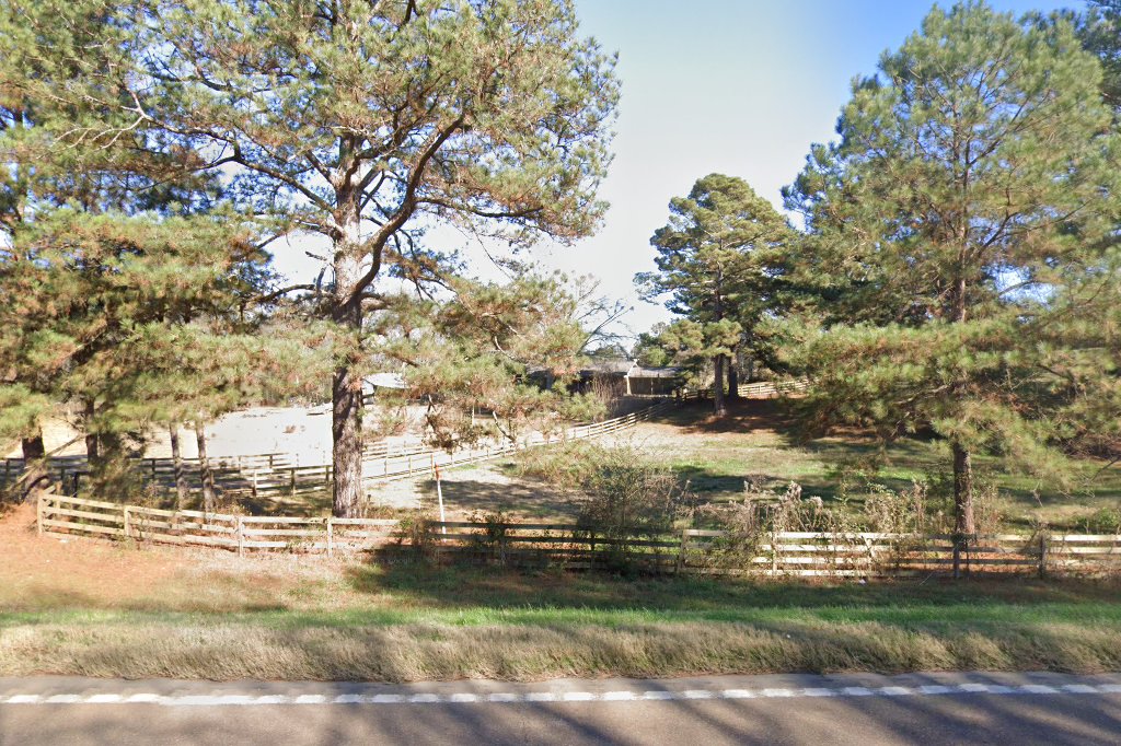 Central Mississippi Animal Clinic