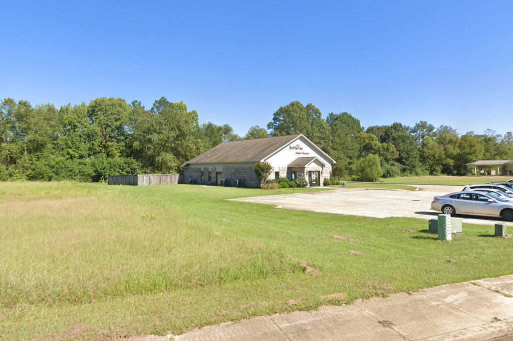 Bottletree Animal Hospital