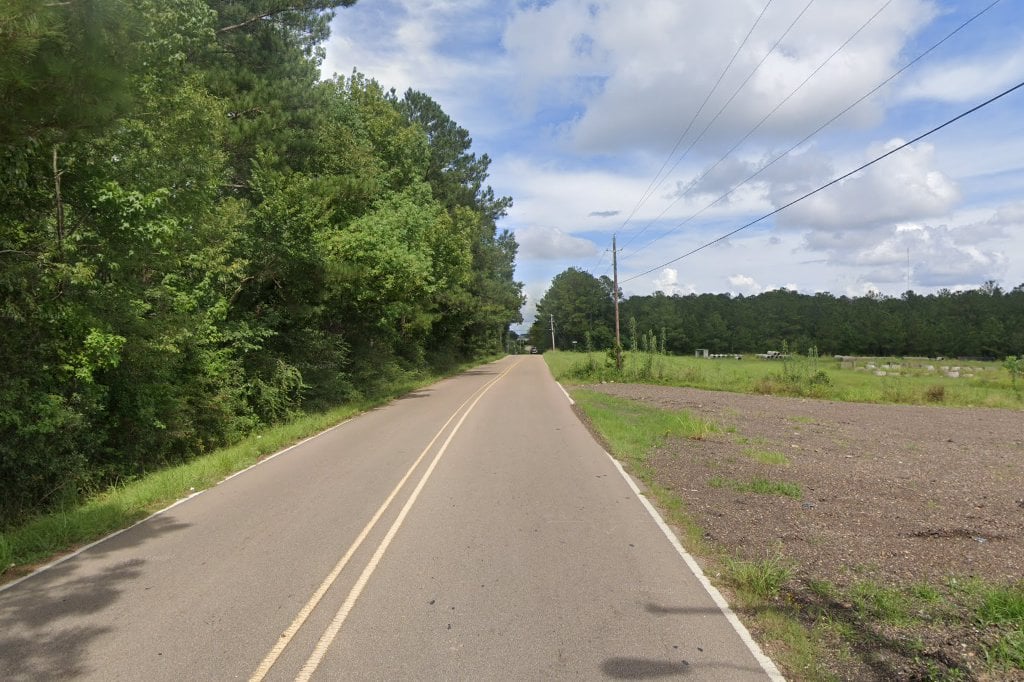 Mississippi Animal Rescue League