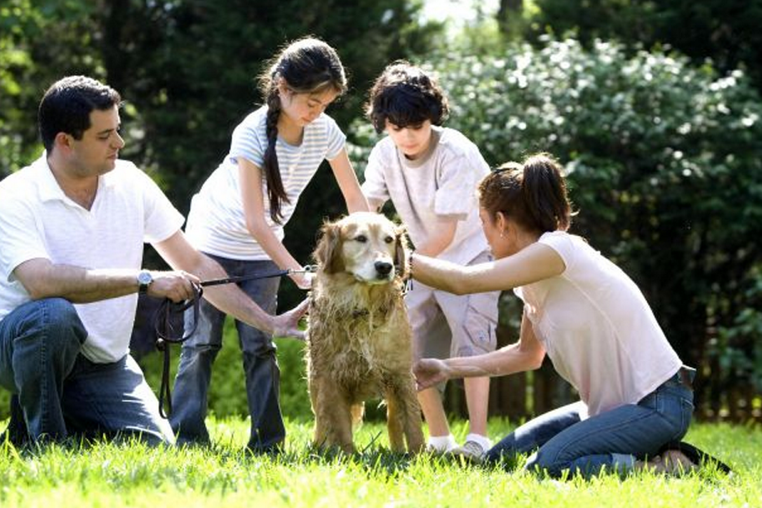 Jackson County Animal Shelter