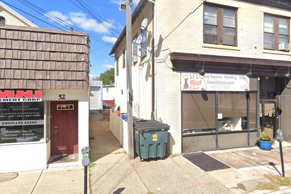 Homeless Animal Adoption Lg