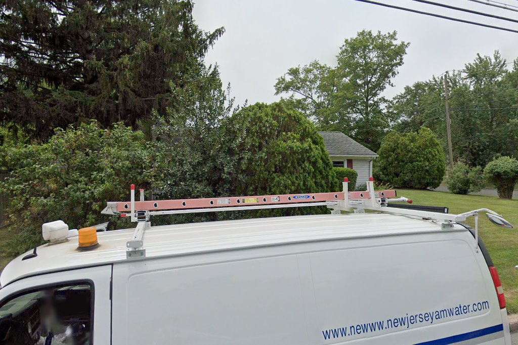 Shetland Sheepdog Placement of New Jersey