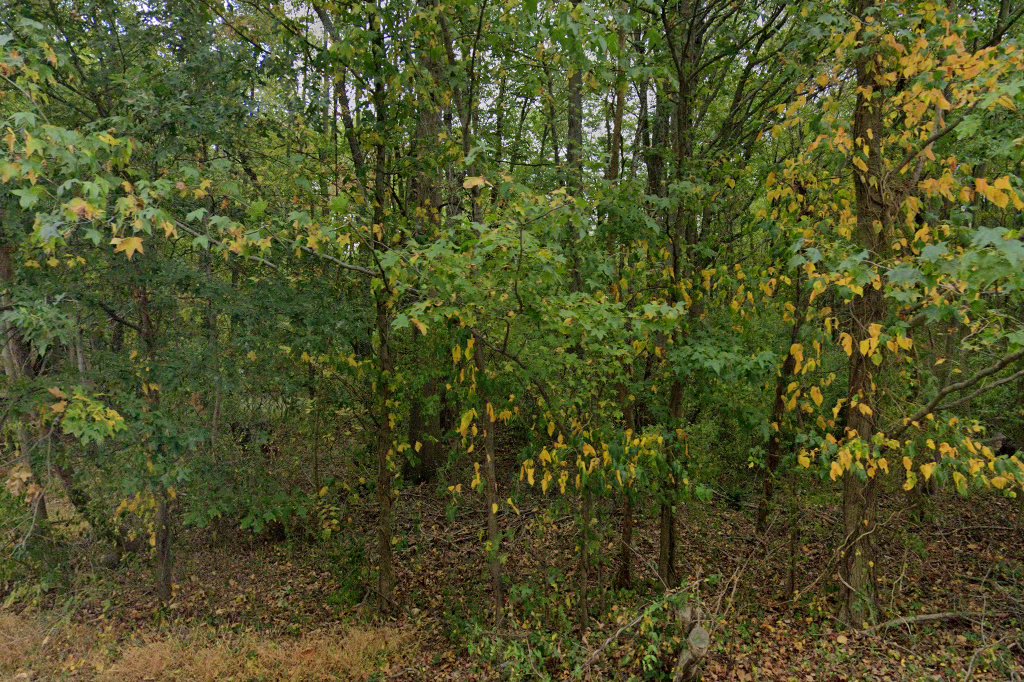 Princeton Junction Animal Control