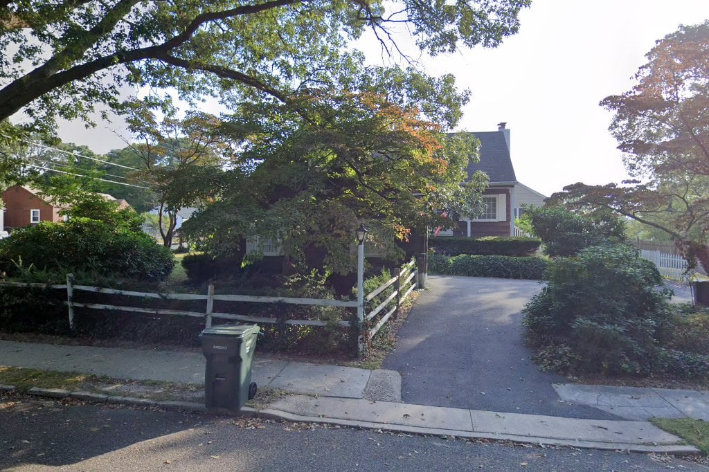 Only Maine Coons Rescue