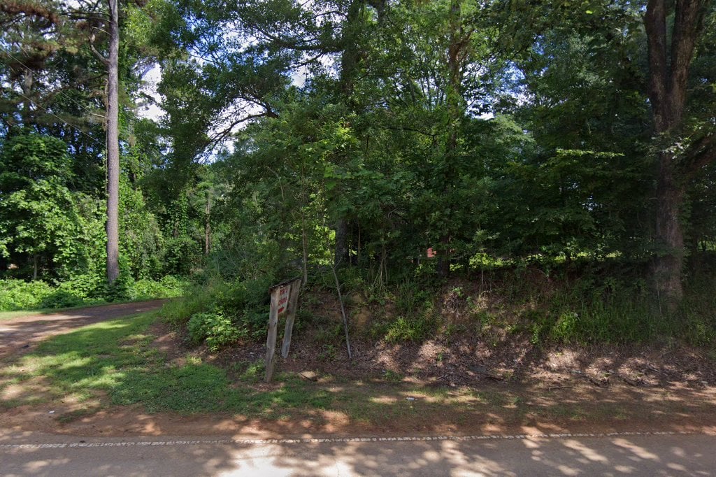 Debbie's Mid-South Brd Rescue