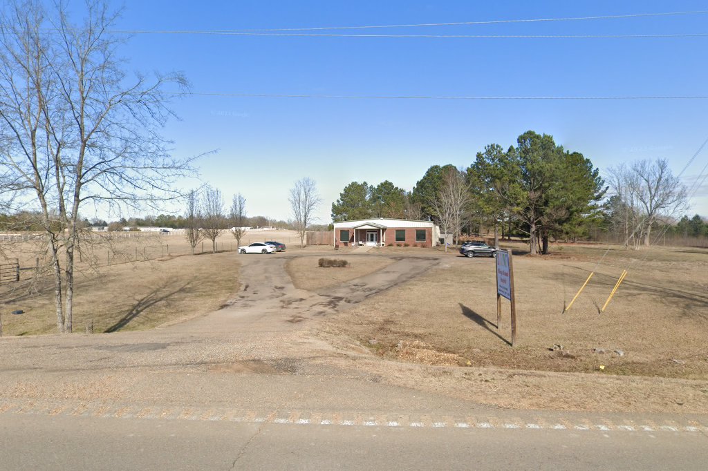 Village Animal Hospital