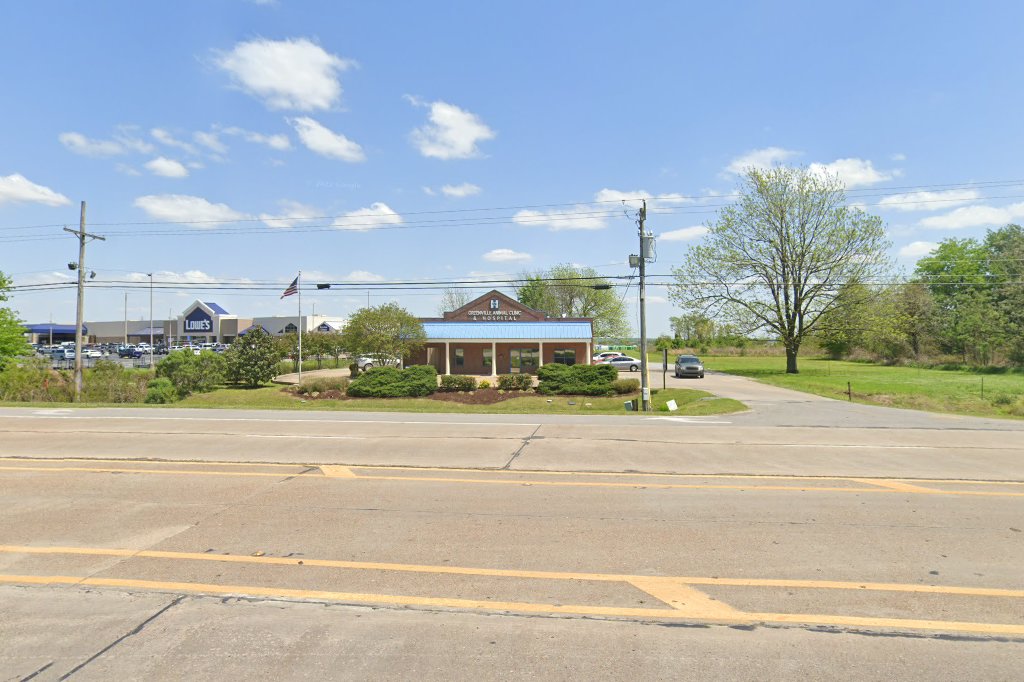 Greenville Animal Clinic & Hospital