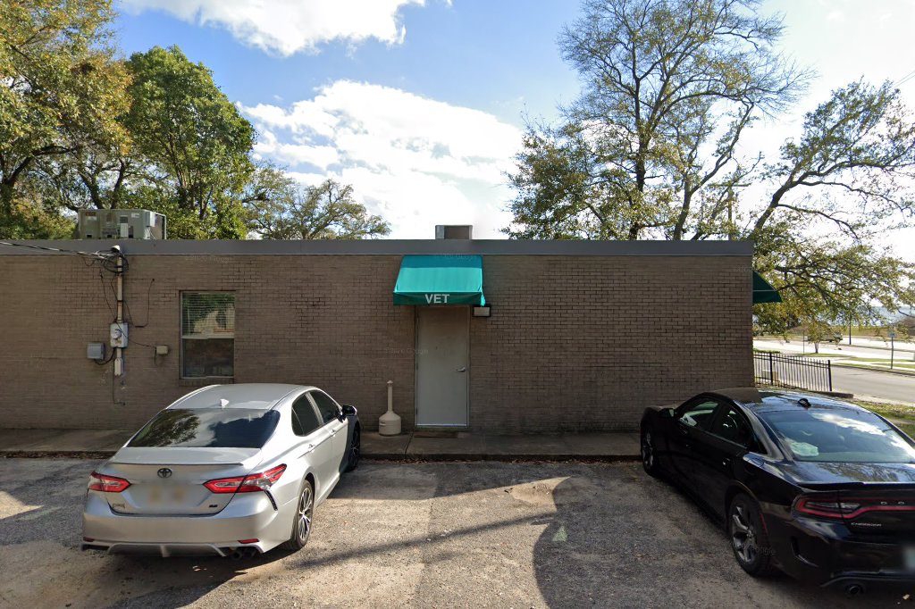 Beach View Veterinary Hospital