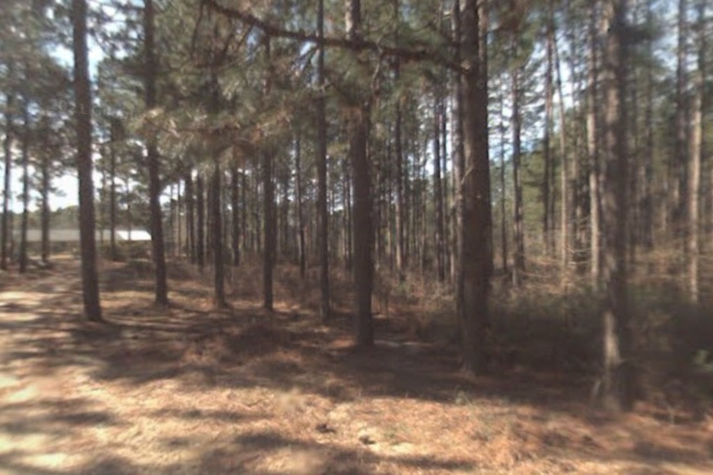 Pine Belt Animal Rescue & Adoption Center