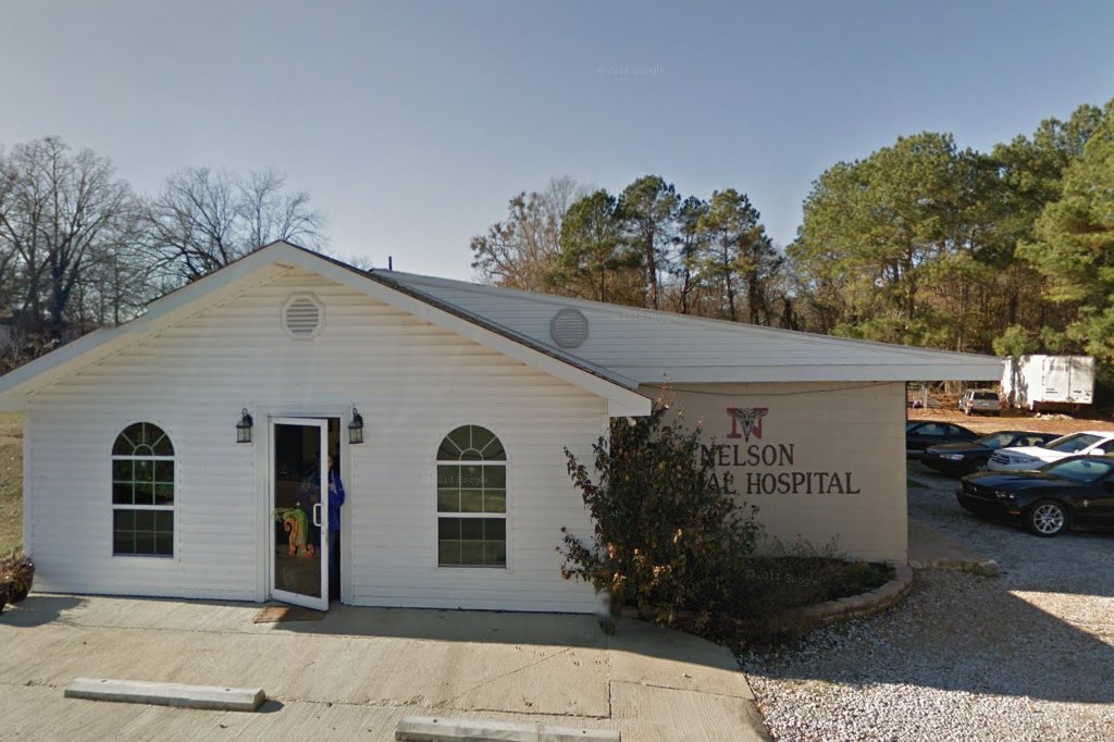 Nelson Animal Hospital