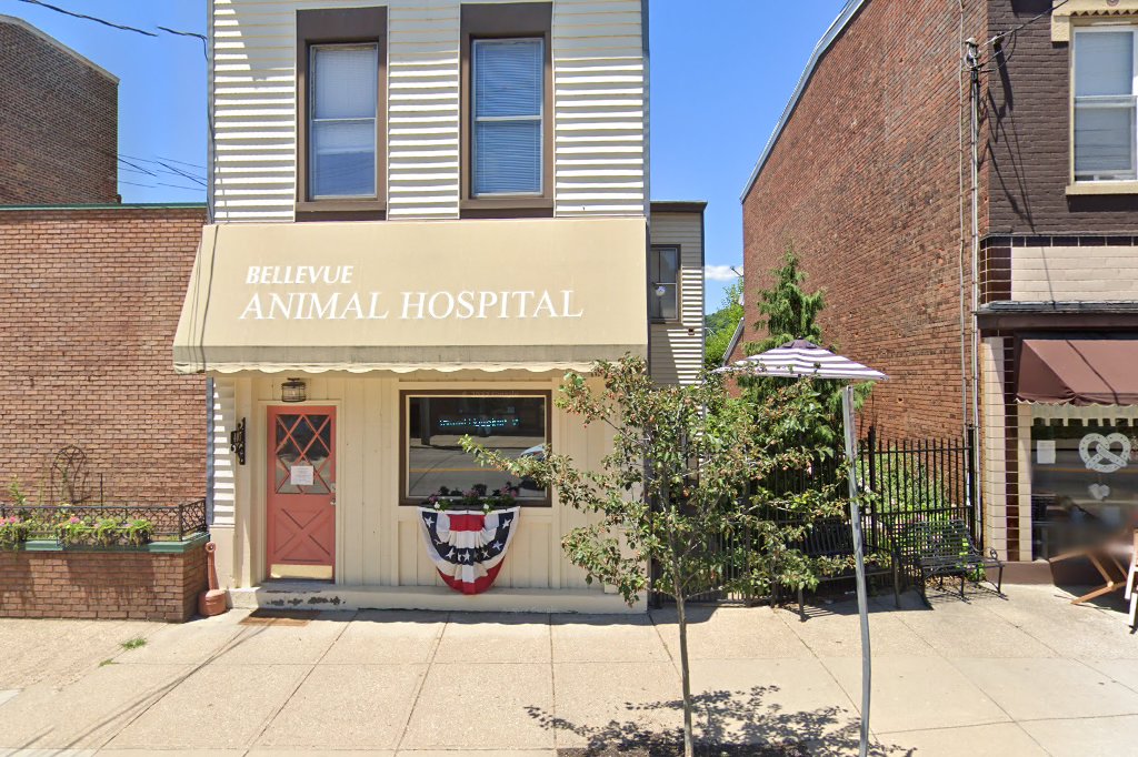 Bellevue Animal Hospital