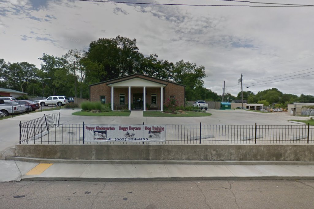 Emerson Animal Hospital