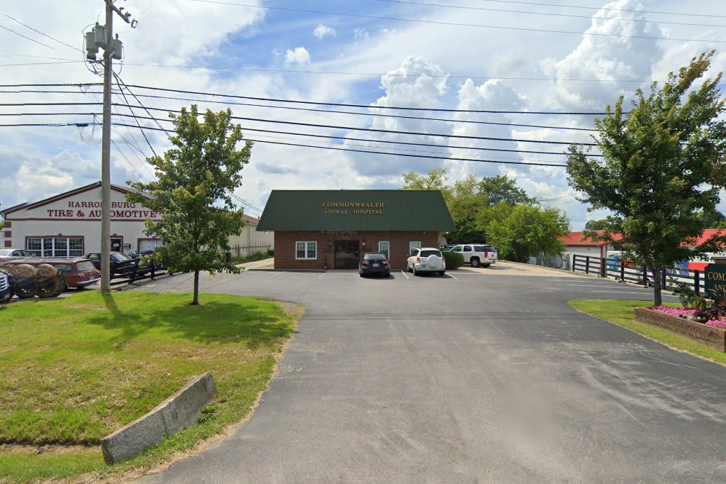 Commonwealth Animal Hospital