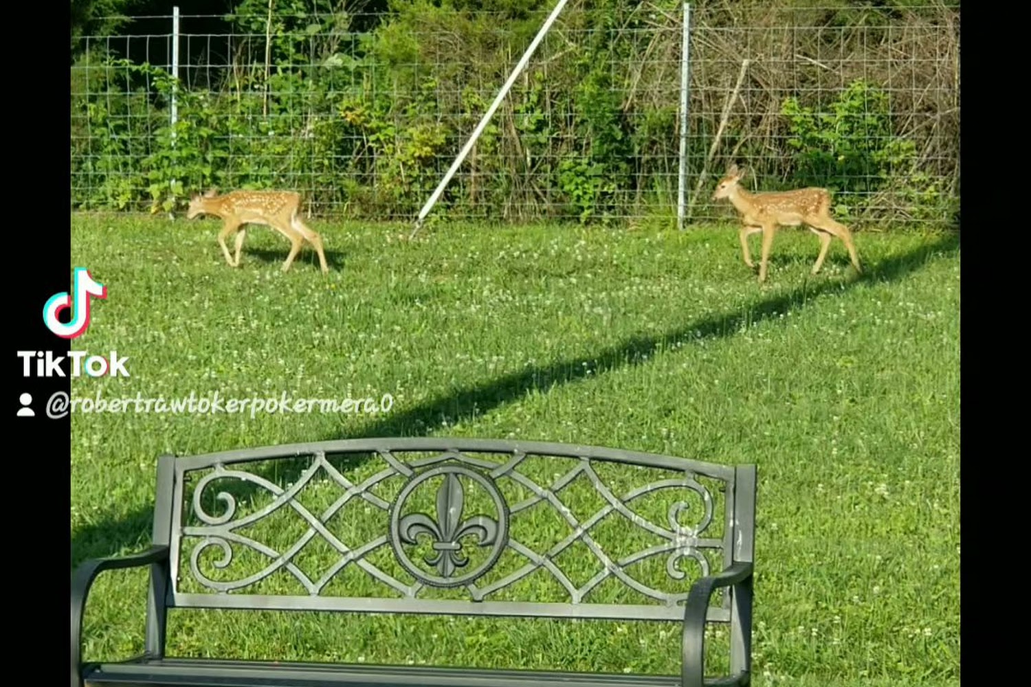 Pet Adoption Welfare Society, Inc.