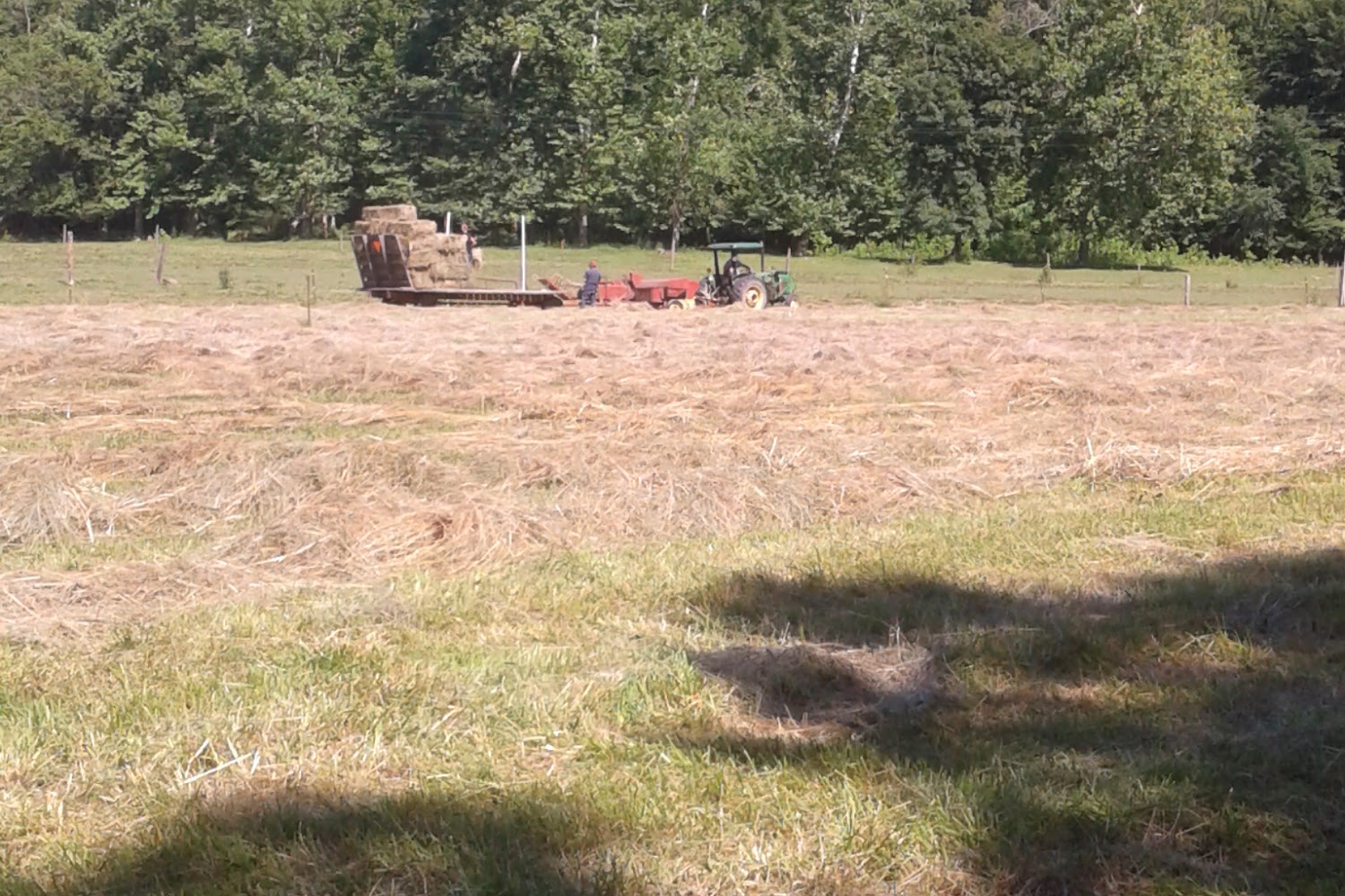 Friends of Powell County's Pets