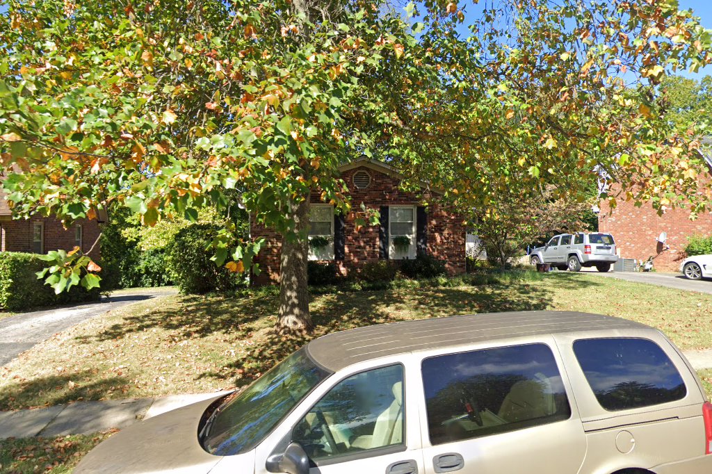 Finally Home Chinchilla Rescue