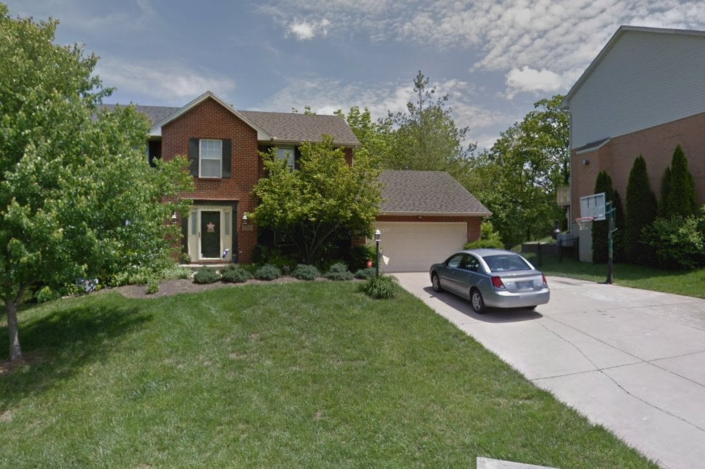 Save Our Shelter Dogs