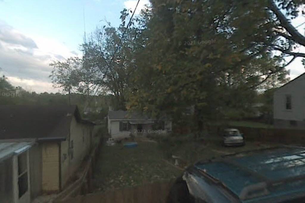 Oodles of Poodles Yorkies Too Rescue