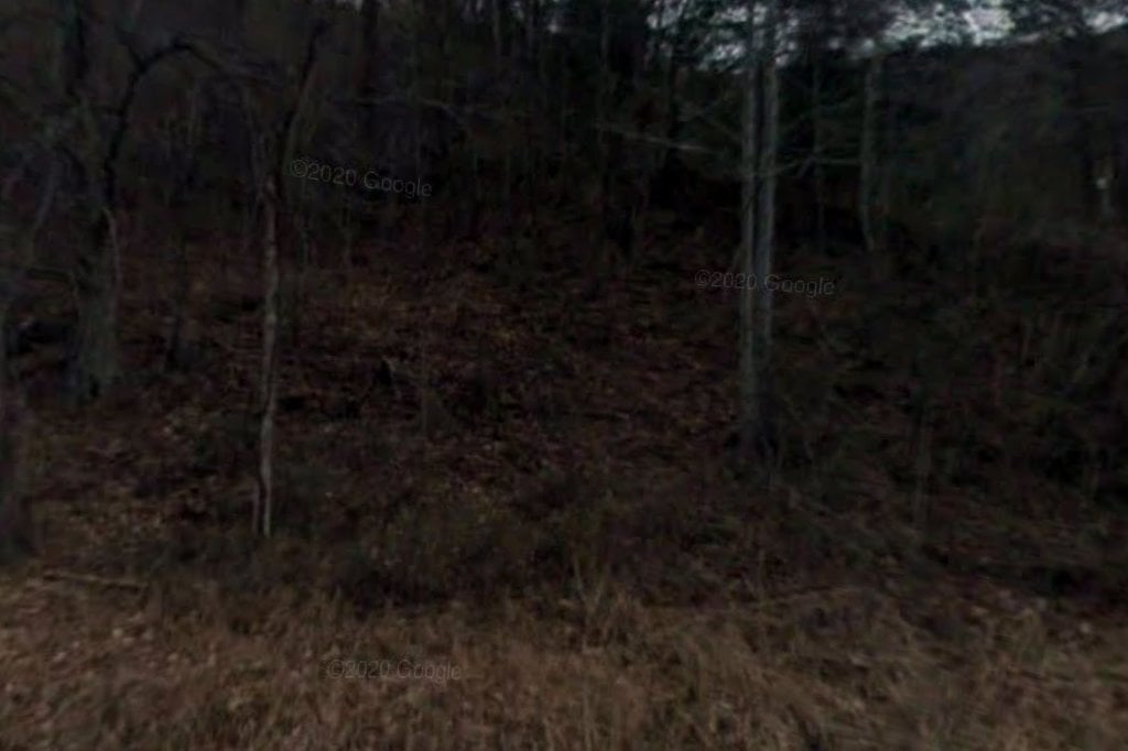 Rockholds Animal Shelter