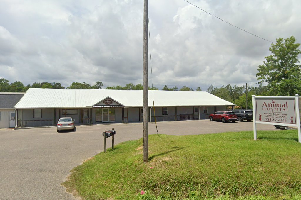 Animal Hospital of Diamondhead