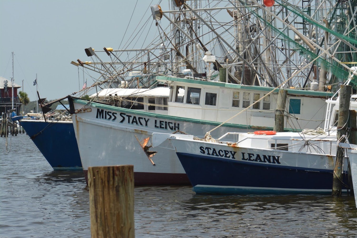 Bay-Waveland Humane Society