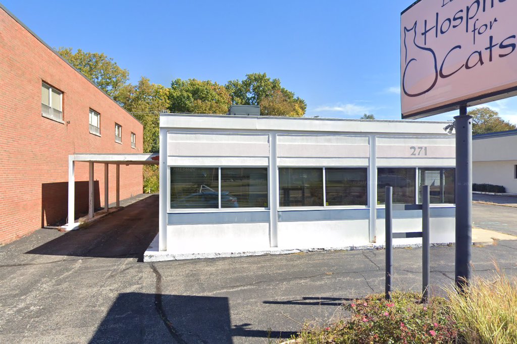 Lexington Hospital For Cats