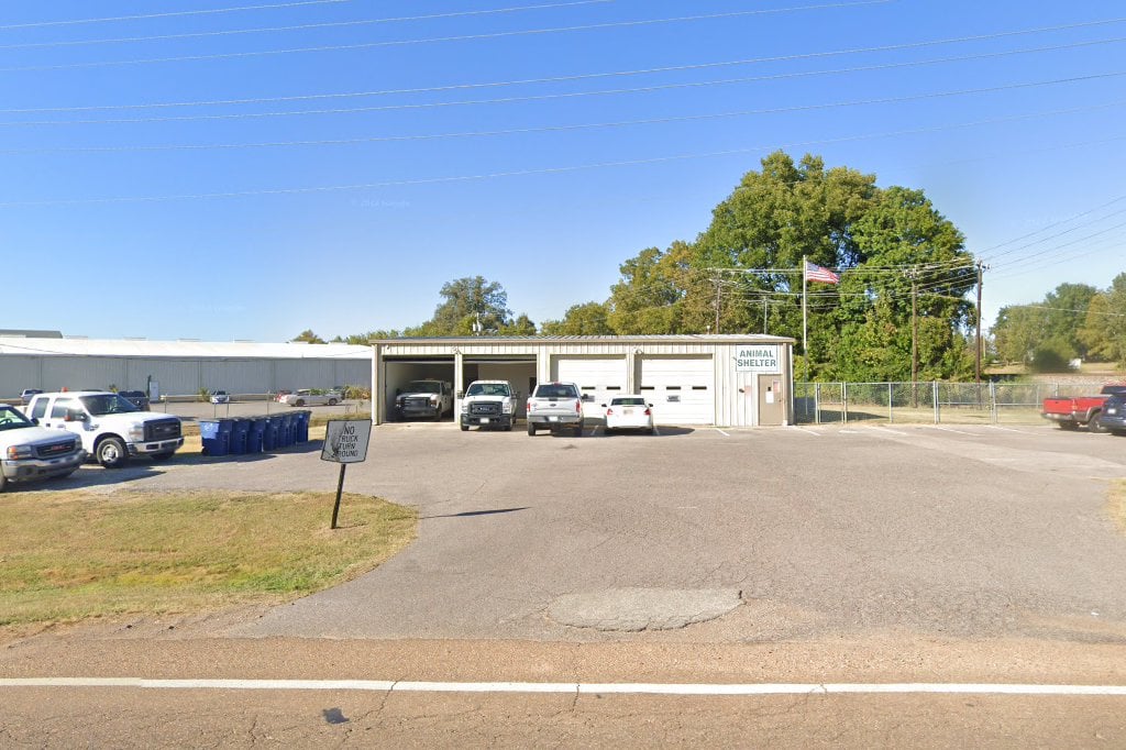 Olive Branch Animal Control