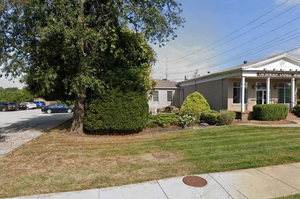 Anchorage Animal Hospital