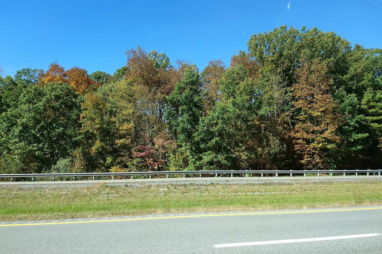 West Liberty Veterinary Clinic