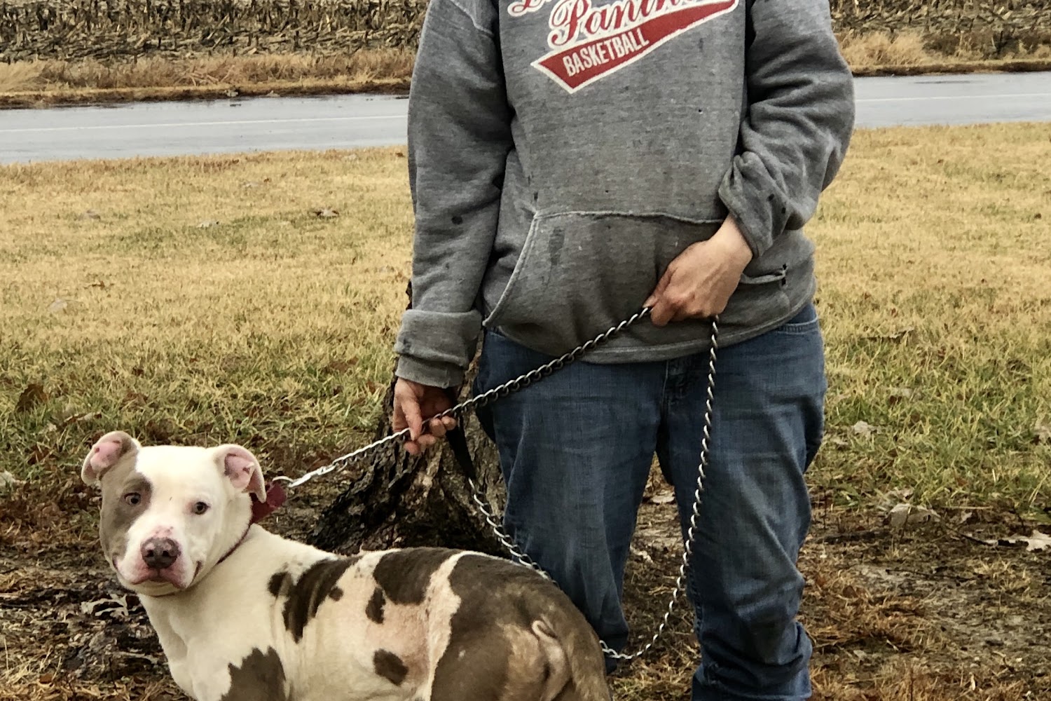 Dr. Carl Henry Animal Shelter