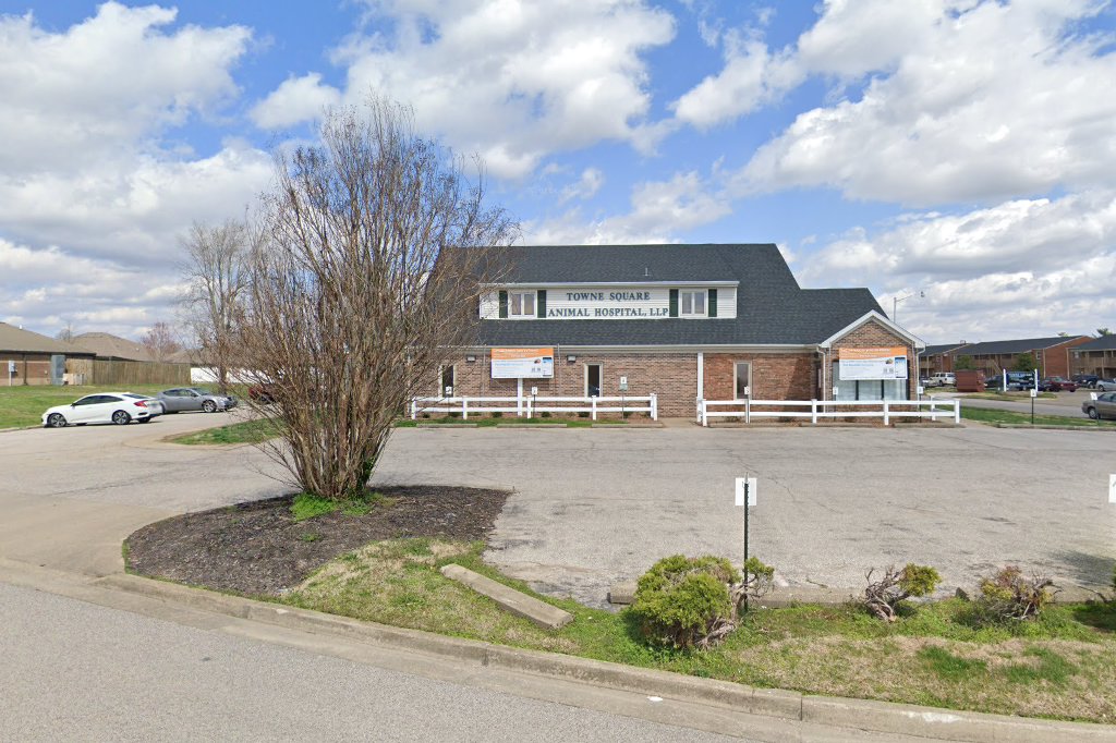 Towne Square Animal Hospital