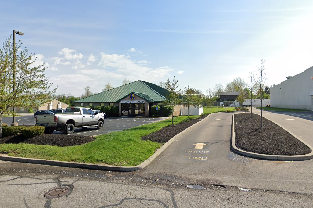 Middendorf Animal Hospital