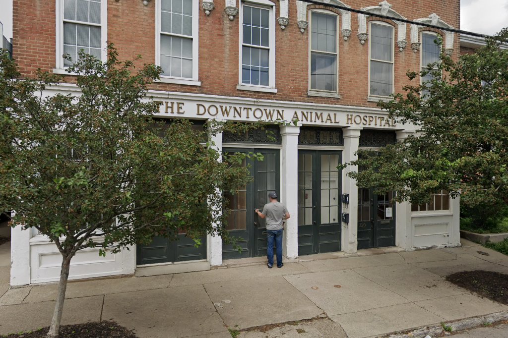 Downtown Animal Hospital