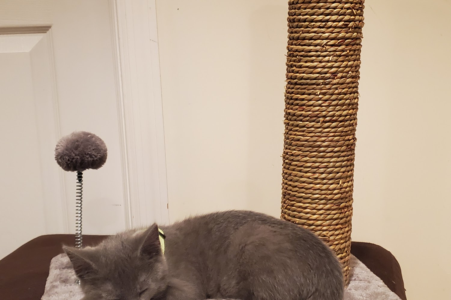 Heekin Animal Hospital