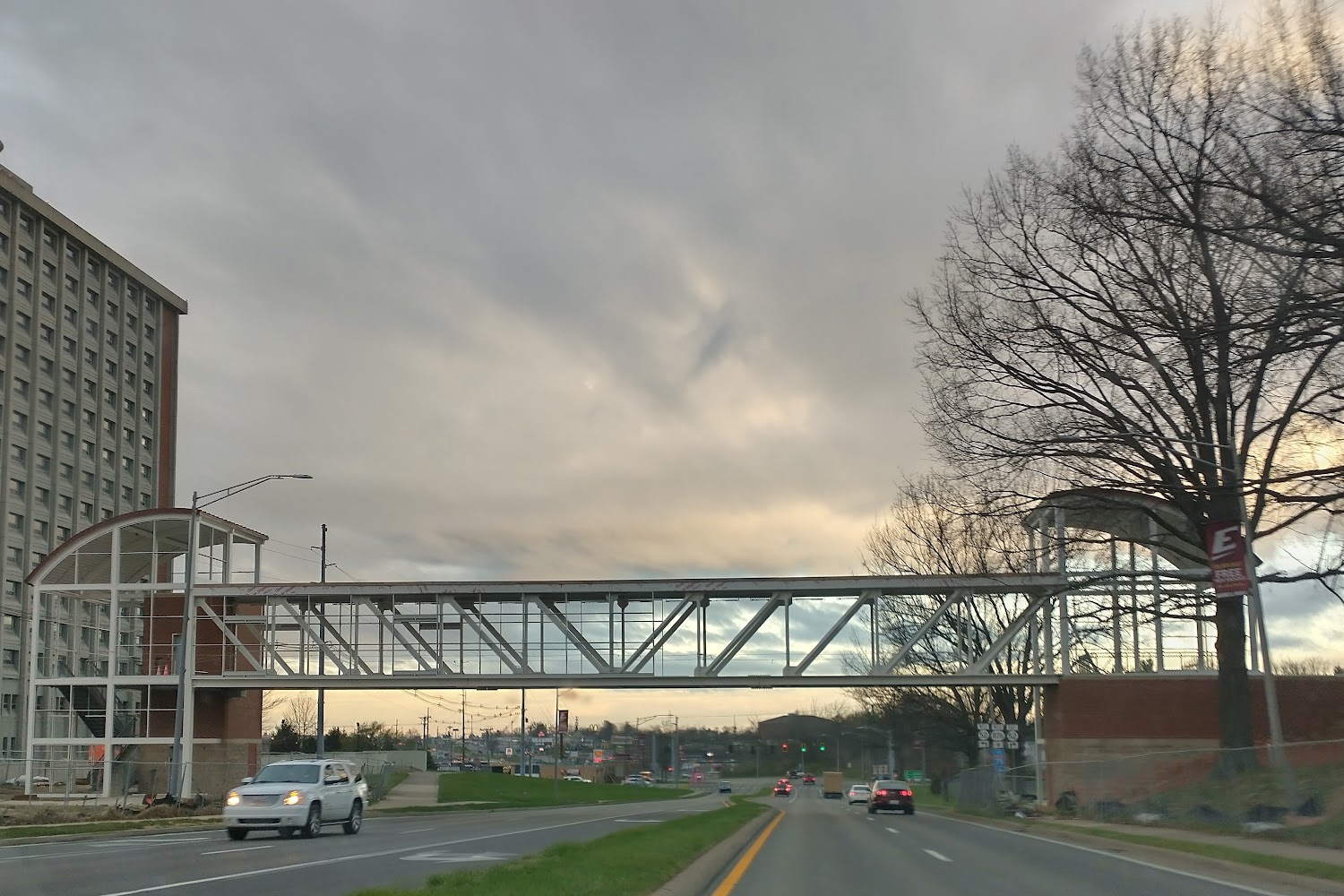 True Heart Minpin Rescue, Inc.