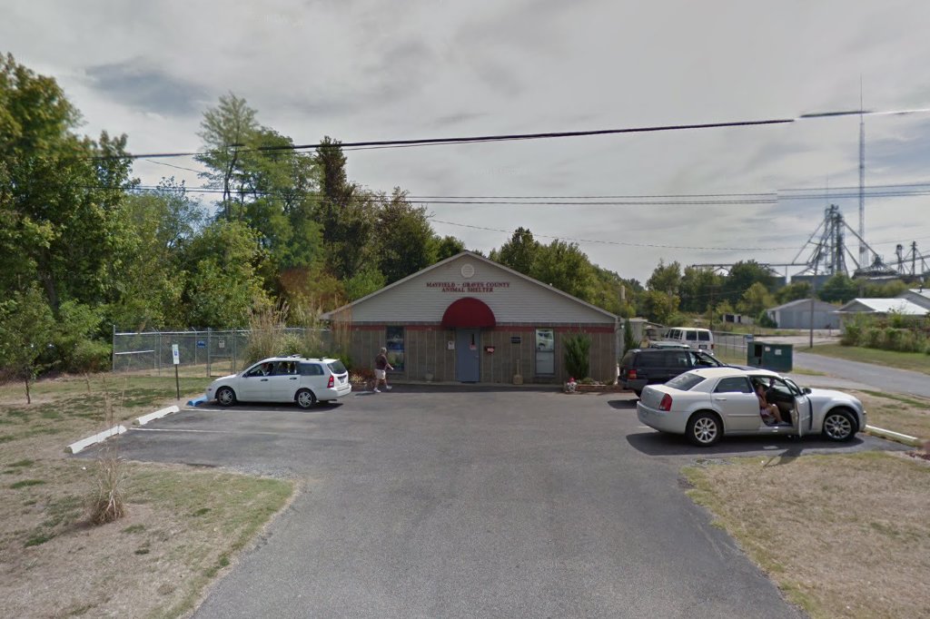 Mayfield Graves County Animal