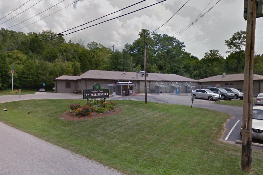Campbell County Animal Shelter