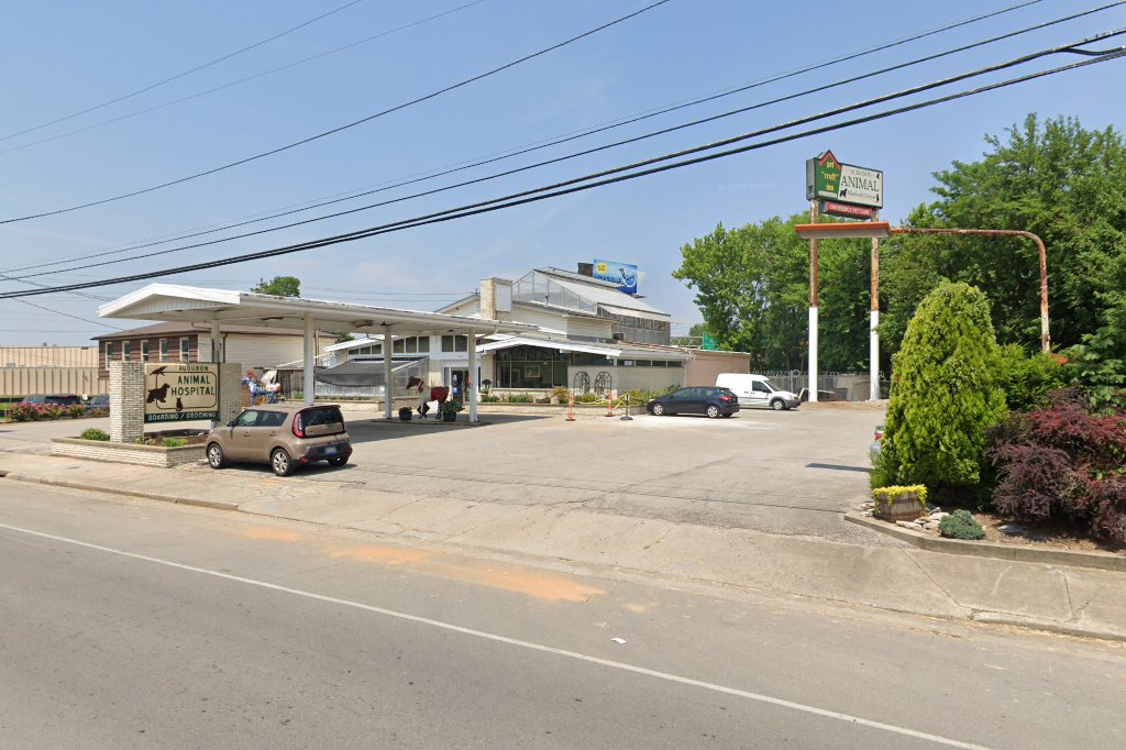 Audubon Animal Hospital