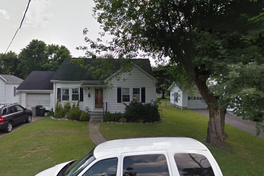 Pyse Adoption for Cats