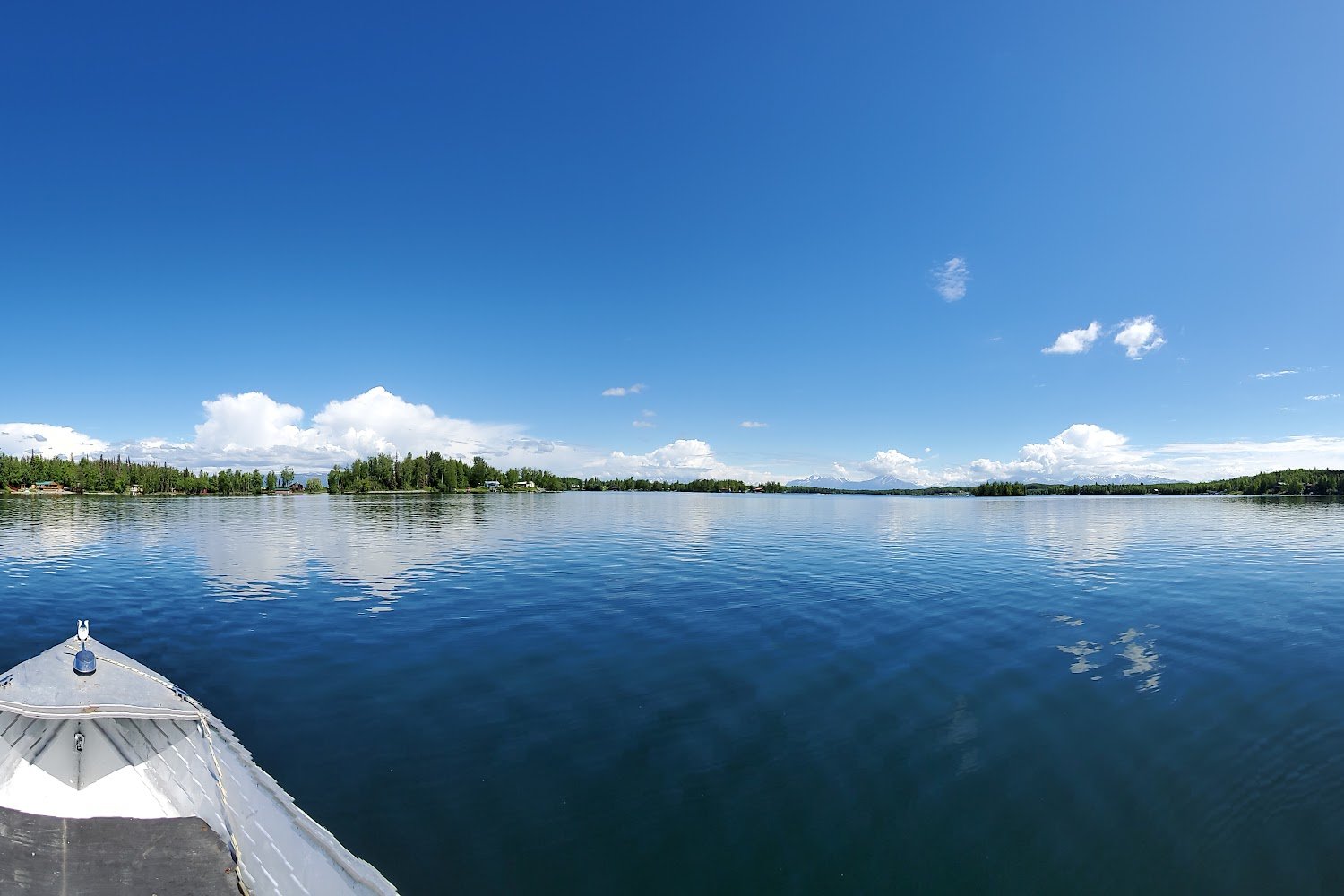 Matanuska Susitna Valley Humane Society